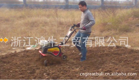 Gasoline Powered Mini Tiller