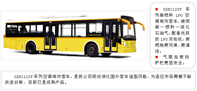 LPG Single-Fuel Air-Conditioned City Bus