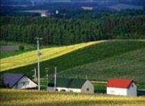 Integrated Agricultural Farm