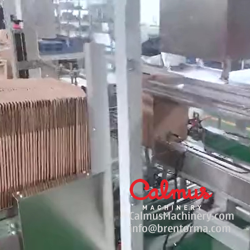 Monoblock Case Packer Cartoning Machine for Packaging Stand Up Pouches - Image 2