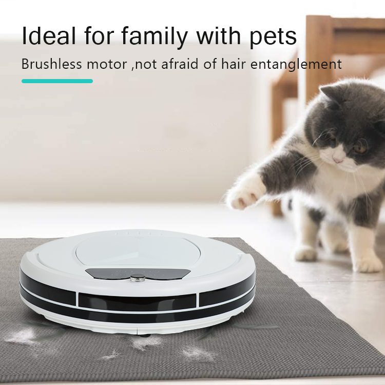 Robot vacuum cleaner cleaning a floor with pet hair nearby