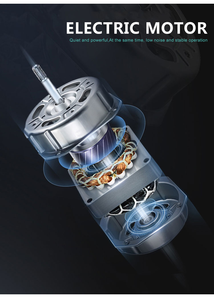 Internal view of the electric fan motor
