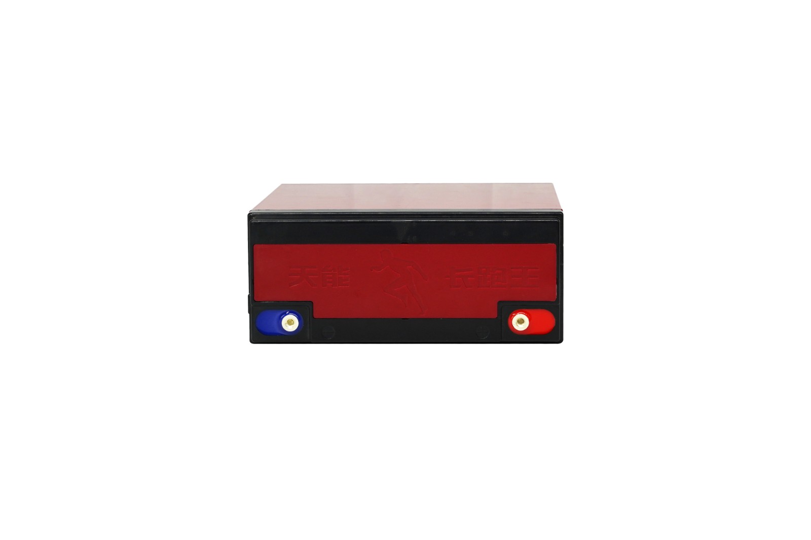 Motive Battery-Deep Cycle Long Life Premium Battery-TNEP Series - Image 2