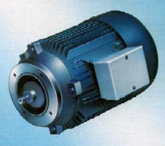 Industrial Electric Motor
