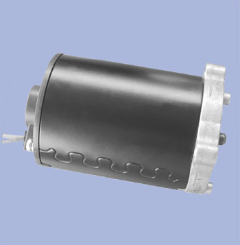 Industrial Electric Motor
