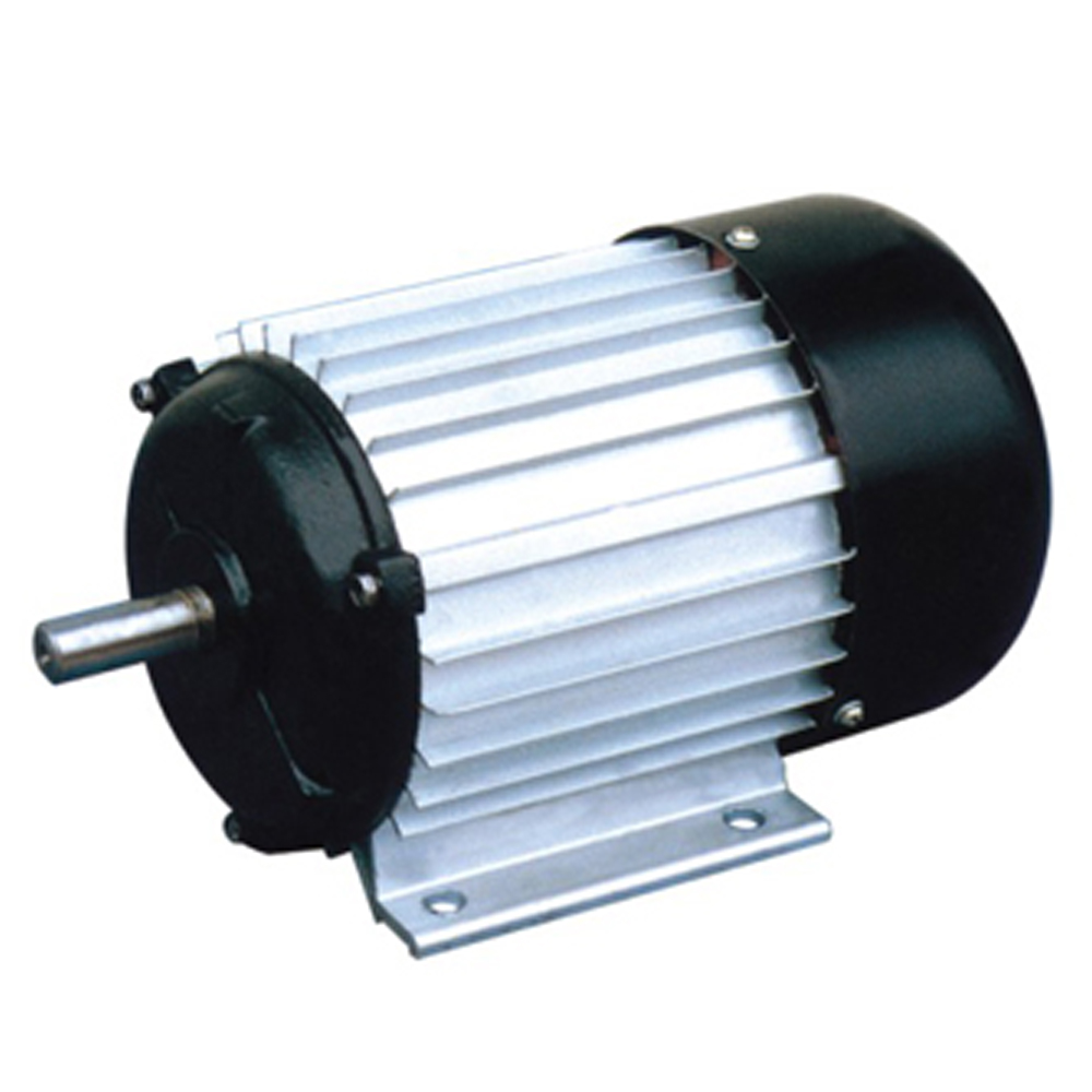 General Purpose Electric Motor