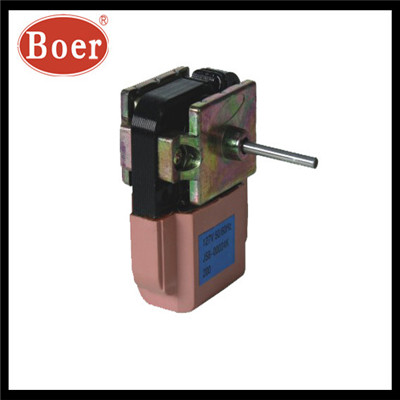 Refrigerator Motor