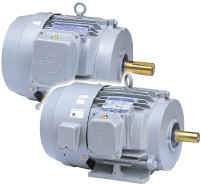 Industrial Electric Motor