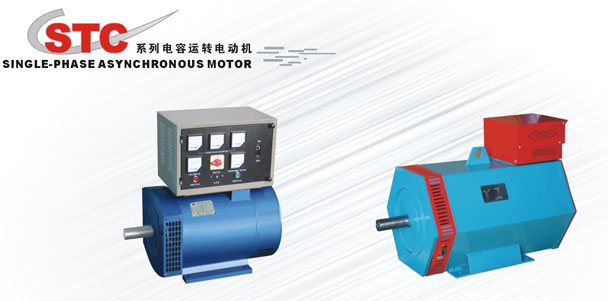 Single-Phase Asynchronous Motor for Industrial Use
