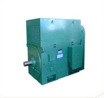 Industrial Electric Motor
