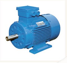 General Purpose Electric Motor