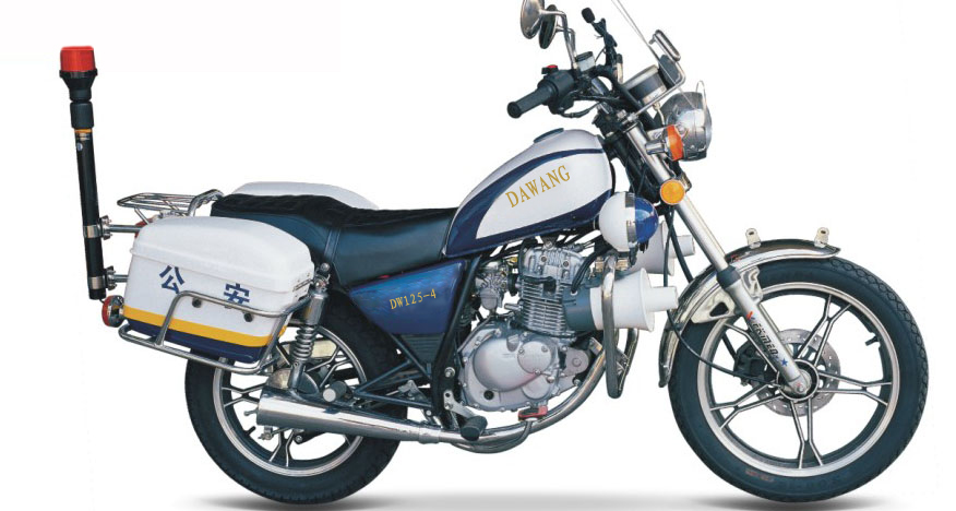 Cruiser Motorcycle with Side Storage