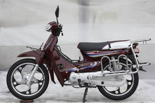 Underbone Motorcycle with Step-Through Frame