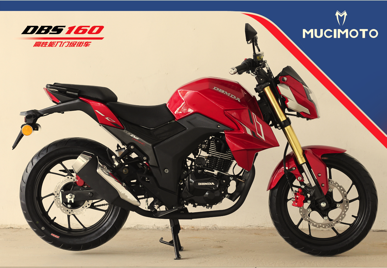 MOTORCYCLE DBS-125/150/200 - Image 2