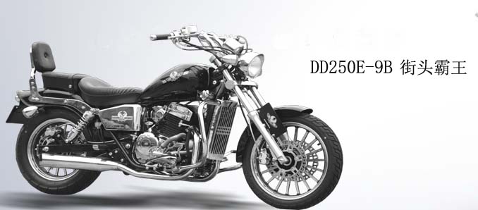 250cc Cruiser Motorcycle