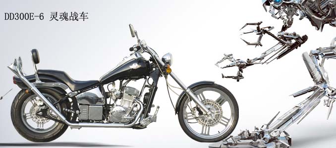 Custom Style Cruiser Motorcycle