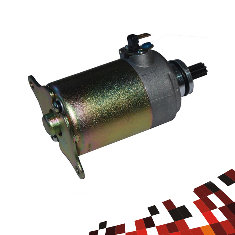 Motorcycle Starter Motor