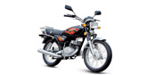 Standard Commuter Motorcycle