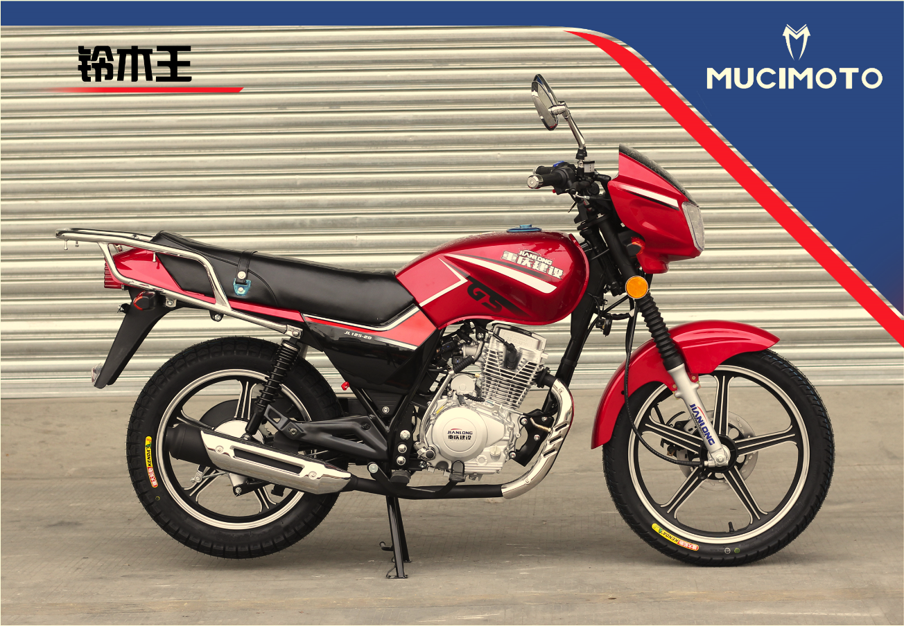 MOTORCYCLE LMW-125/150/200 - Image 2