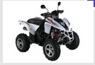 250cc Off-Road ATV