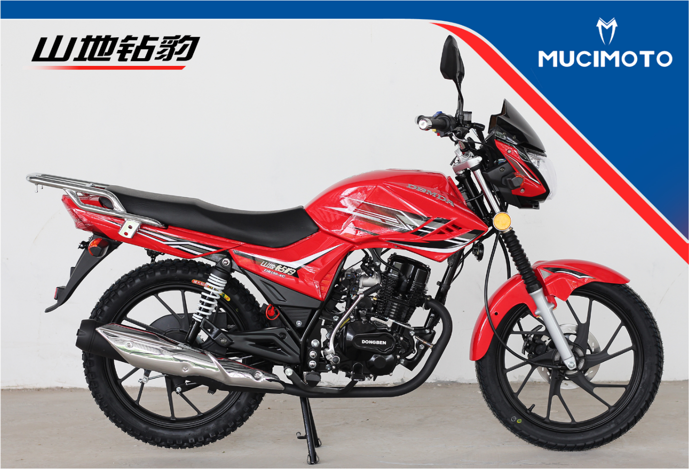 MOTORCYCLE SDZB-125/150/200 - Image 2