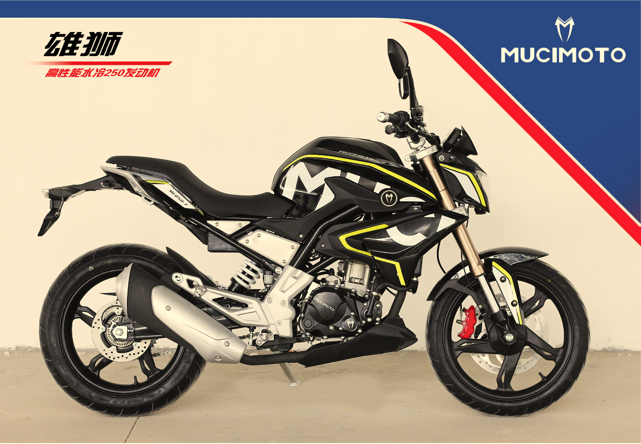MOTORCYCLE XS-125/150/200 - Image 2