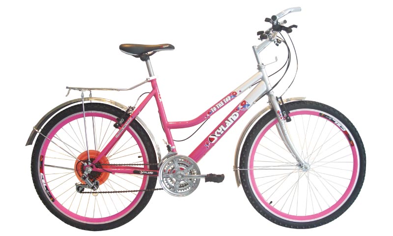 26-Inch Mountain Bike with Sturdy Frame