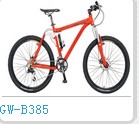 Full Suspension Mountain Bike