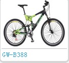 Full Suspension Mountain Bike