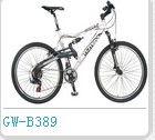 Full Suspension Mountain Bike