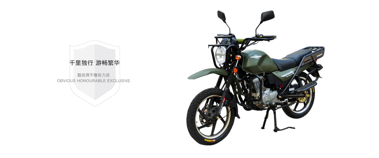 Rugged motorcycle with cargo racks and protective headlight cage