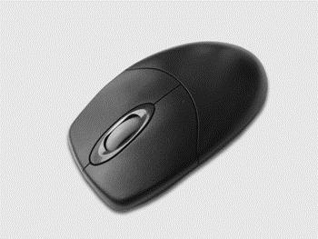 Wireless Optical Mouse