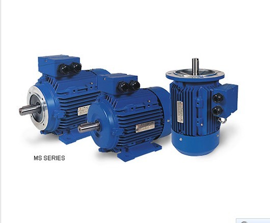 MS Series Cast Aluminum Three-Phase Electric Motor