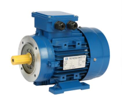 Three-Phase Aluminum Electric Motor