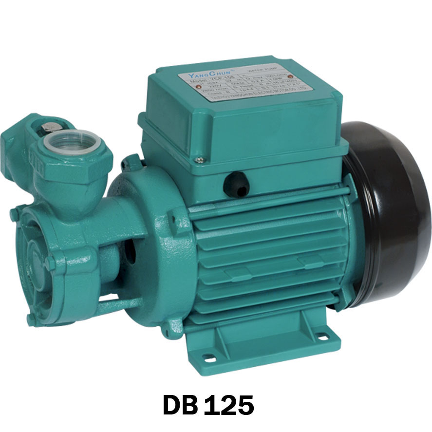 MS Series Three-Phase Electric Motor