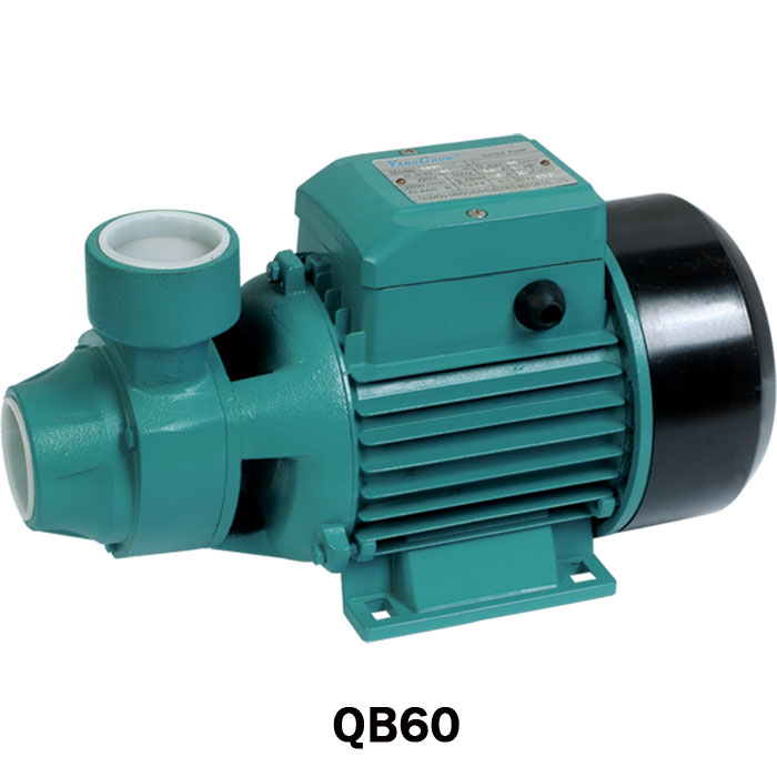 Three-Phase Electric Motor