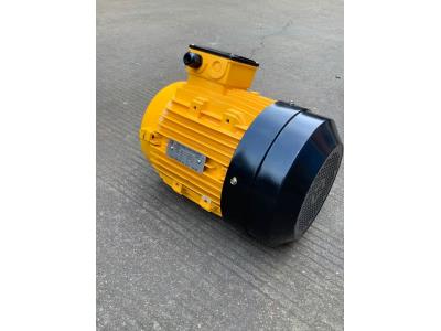 MS  SERIES THREE PHASE induction motor - Image 3