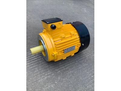 MS  SERIES THREE PHASE induction motor - Image 2