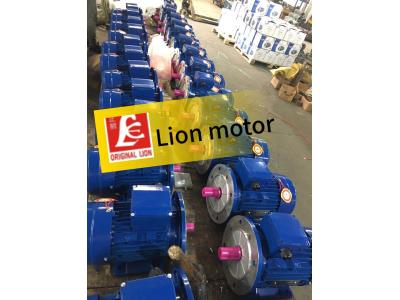 Three-Phase Induction Motor