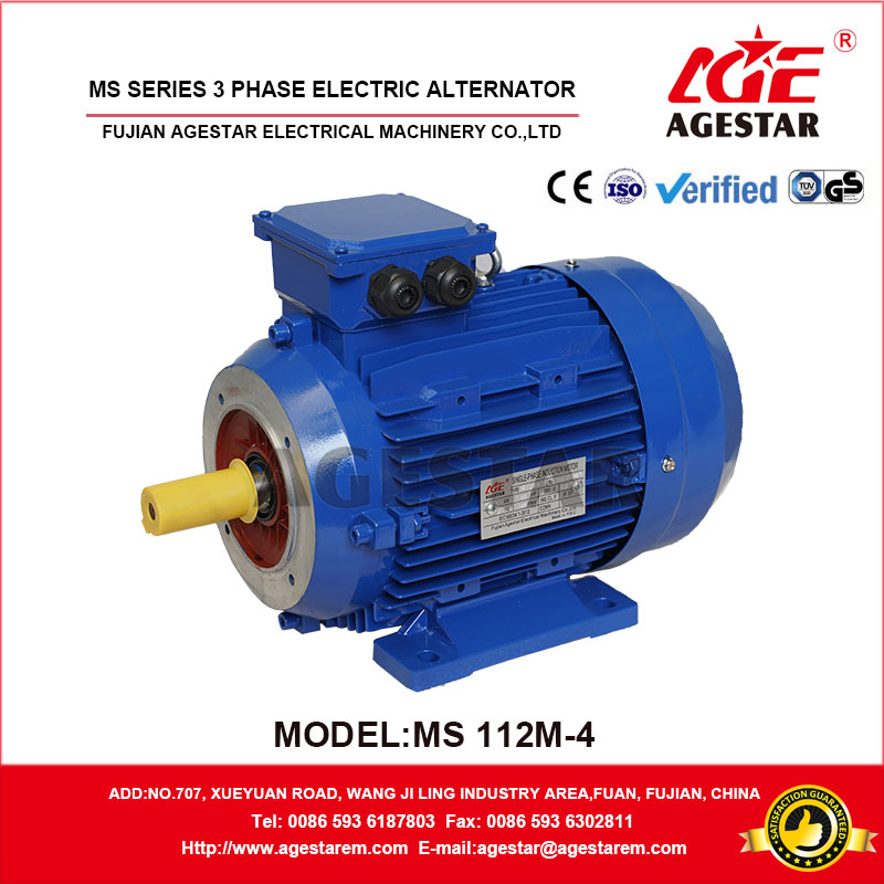 MS series three phase motor - Image 2