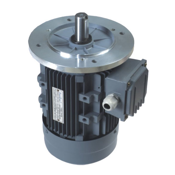 Three-Phase Asynchronous Electric Motor