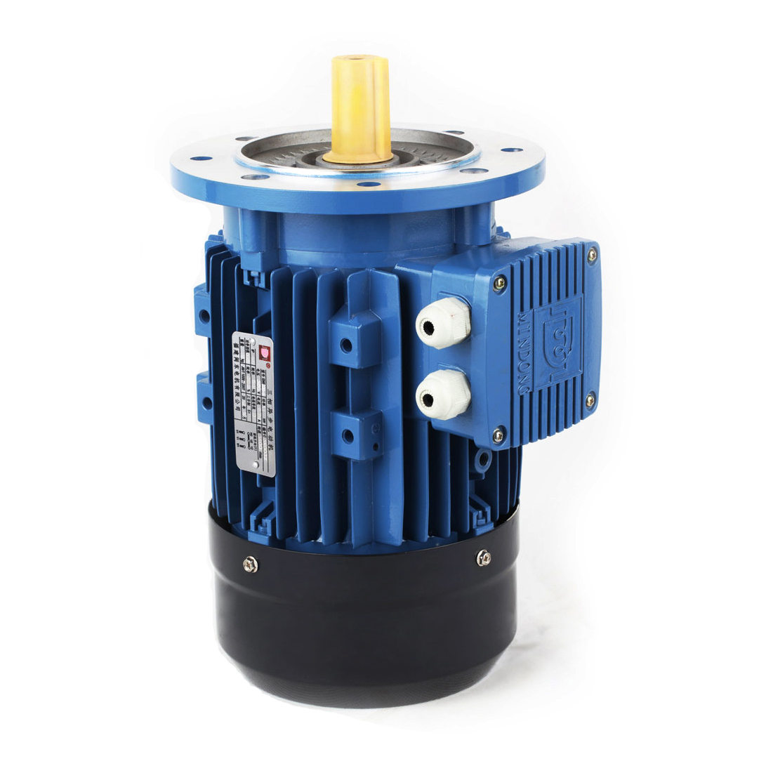 MS2 Three Phase Induction motor IE2 - Image 3