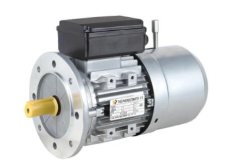 Three-Phase AC Brake Motor