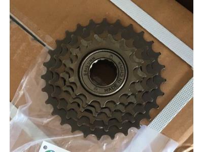 Bicycle Multi-Speed Freewheel