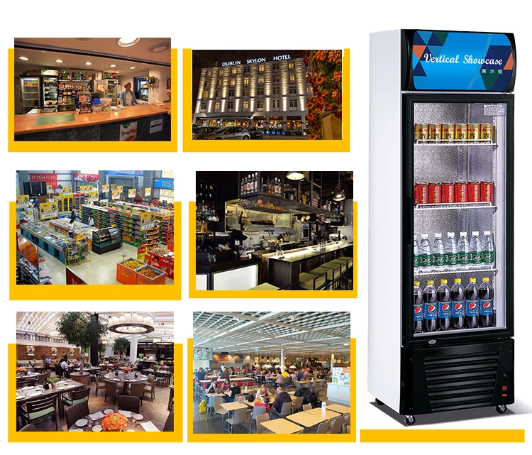 Commercial vertical showcase refrigerator with double door design