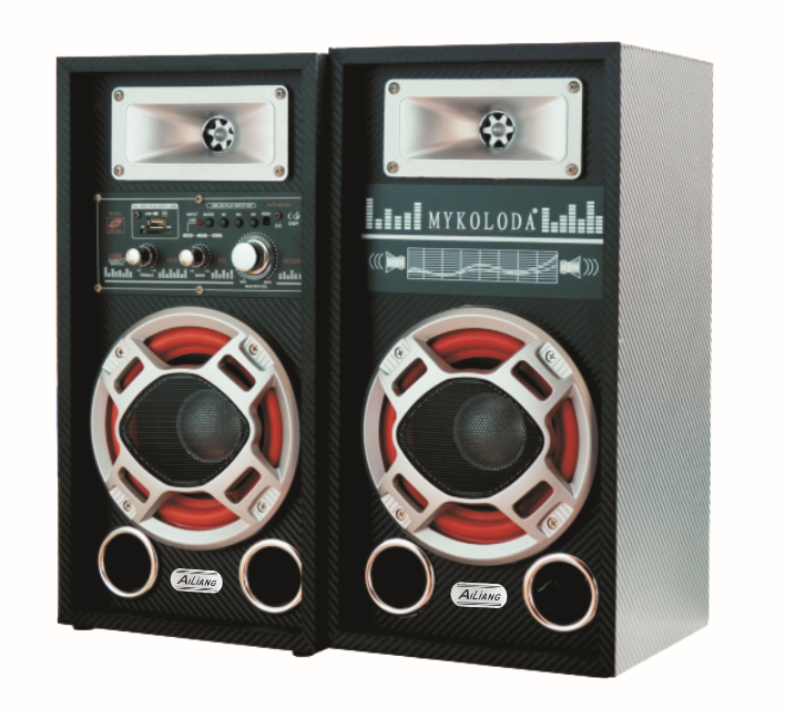 Dual 12-inch Professional Stage Speaker with FM, USB, SD, and Equalizer