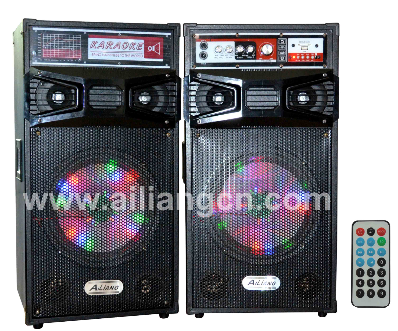Dual 12-inch Karaoke Multimedia Speaker System