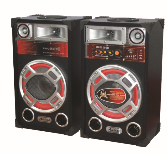Dual 12-inch Stage Speaker System with Equalizer