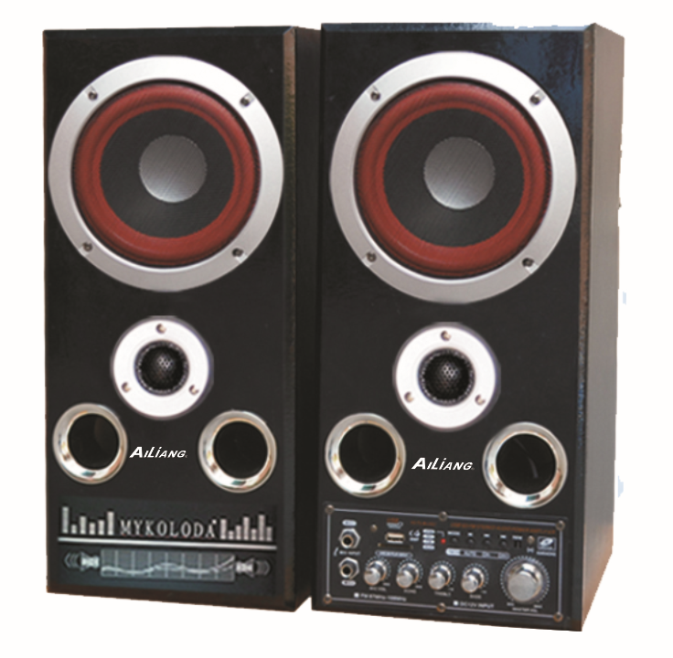Dual 12-inch PA Speaker with Media Player