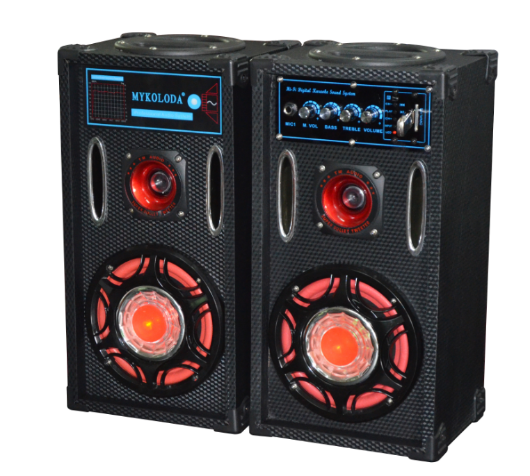 Dual 12-Inch Professional Stage Speaker with Karaoke